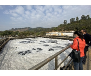 復合碳源與總氮降解劑在電鍍廢水中的應(yīng)用—庫巴魯