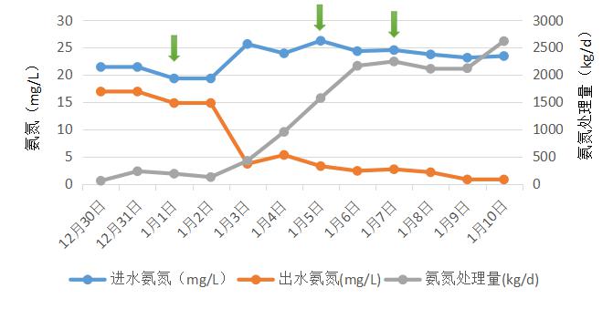 城鎮(zhèn)污水處理生化系統(tǒng)修復(fù)項(xiàng)目