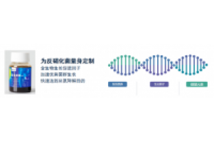 復(fù)合碳源對比葡萄糖優(yōu)勢